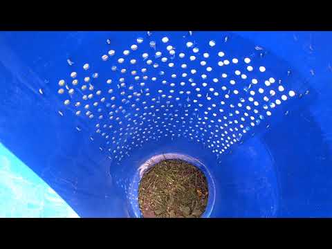 Видео: Родник. Процесс раскопка родника.