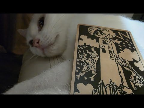 Видео: ЭТО ПРОСТО ЗАТИХАНИЕ ПЕРЕД БУРЕЙ!!!