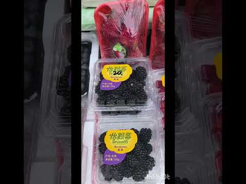 Видео: Хуньчунь 29.10.2025