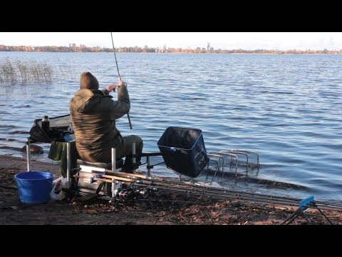 Видео: Закрытие сезона по фидерной ловле. Сестрорецкий разлив