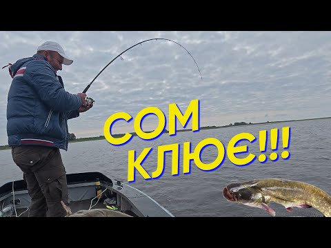 Видео: ✅!!!Рибалка на Сома – клювало на всі 100%!!!