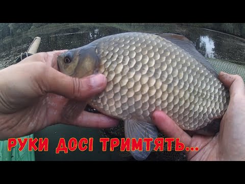 Видео: На такого трофея я не очікував