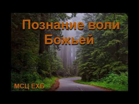 Видео: "Познание воли Божьей". В.  Перевозчиков. МСЦ ЕХБ