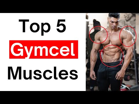 Видео: Мускулы Gymcel против эстетических мышц