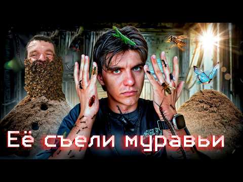 Видео: ИХ забрали НАСЕКОМЫЕ | маленькие ЧУДОВИЩА