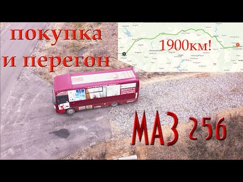 Видео: покупка  автобуса под автодом за 1900км от дома