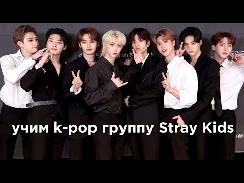 Видео: учим k-pop группу Stray Kids/учимся различать Stray Kids | vetmifi