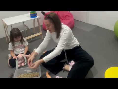 Видео: Денверская модель раннего вмешательства для детей с аутизмом #esdm #аутизм #денверскаямодель 