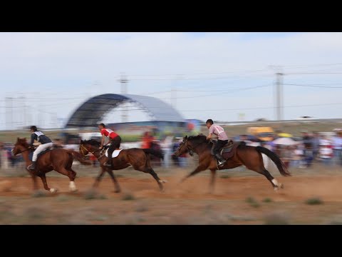 Видео: ВПЕРВЫЕ ВЁЛ ПРОГРАММУ | СКАЧКИ ЦАГАН-АМАН |