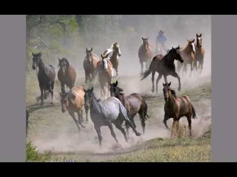 Видео: Валентина Рязанова -КАЗАКИ (муз. и сл. В. Караблина)