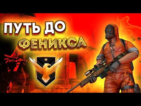 Видео: демка апнул феникса