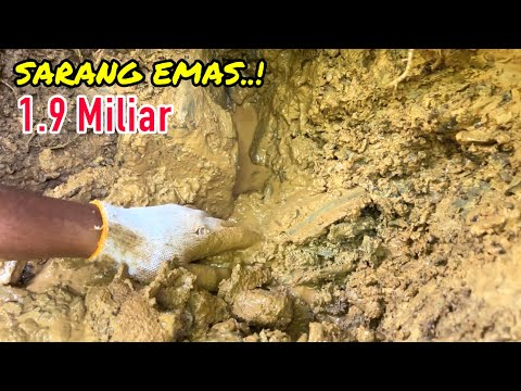 Видео: ПОРАЖЕН,..! ОТКРЫТИЕ ИНДОНЕЗИЙСКОЙ ЗОЛОТОЙ РЕКИ || ЗАРАБОТАТЬ 1,9 МЛРД
