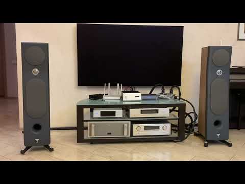 Видео: Цап Ad1865 nos tube  в системе Александра.