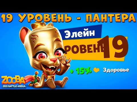 Видео: КАЧАЕМ 19 УРОВЕНЬ - ЗОЛОТАЯ КОШКА ЭЛЕЙН В ИГРЕ ZOOBA