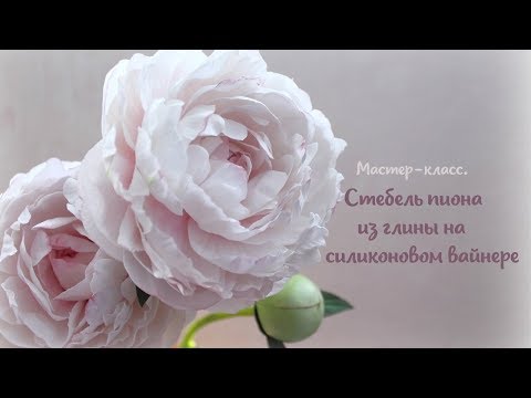 Видео: Стебель пиона на силиконовом вайнере.