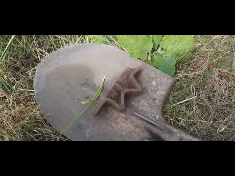 Видео: #копметалла #рыбалка #двоеслопатой  первая монетка 