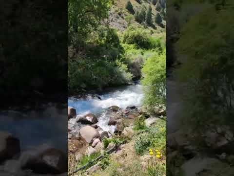 Видео: "Жаныс деген елміз біз". сөзі: Мықтыбек Зәуірбековтікі. әні: Гауһар Тоқайқызынікі.