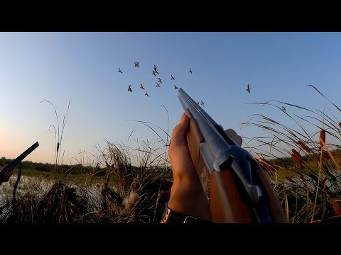 Видео: ОТЛИЧНОЕ ОТКРЫТИЕ ОХОТЫ НА УТКУ