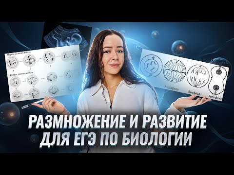 Видео: Размножение и развитие: что ВАЖНО знать для ЕГЭ по биологии? I Умскул