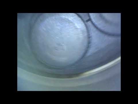 Видео: Стук на RVR 2018