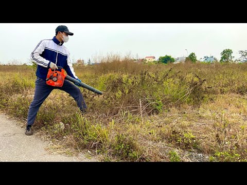 Видео: Я убираю забытые тротуары БЕСПЛАТНО | Уборка потрясающая