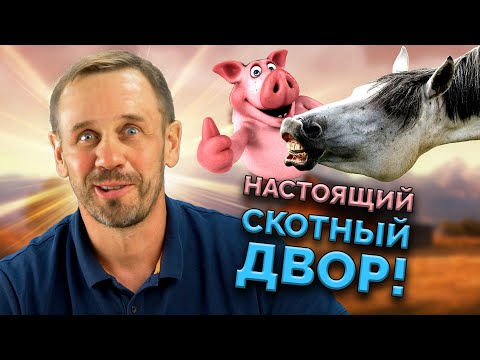 Видео: ПАРАД ДИБИЛЬHЫX КОЛЛЕКТОРСКИХ КОНТОР! | БАНКРОТСТВО | Кузнецов | Аллиам