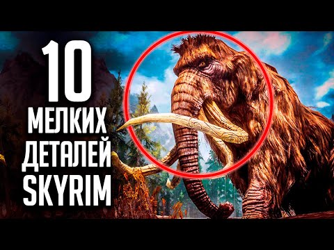 Видео: Skyrim - 10 мелких интересных деталей, СЕКРЕТЫ СКАЙРИМА 2020! ( Секреты #291 )