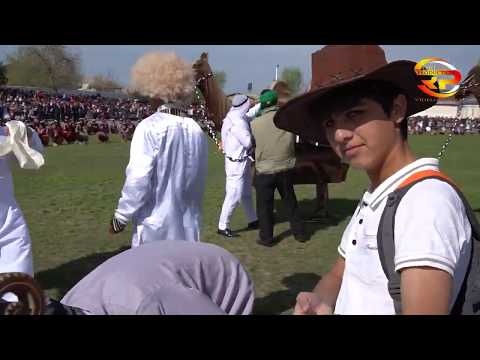 Видео: Хоричиён дар н.Восеъ пеш аз КАРАНТИН