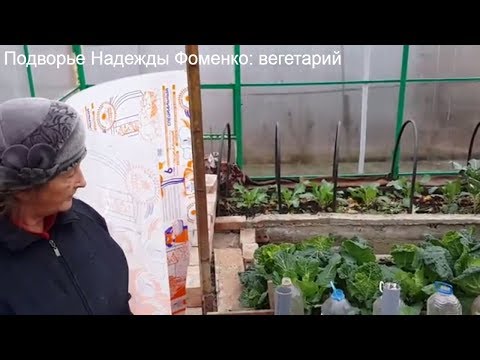 Видео: Биовегетарий в декабре  в действии, что растет в декабре, дровяная печь в биовегетарии