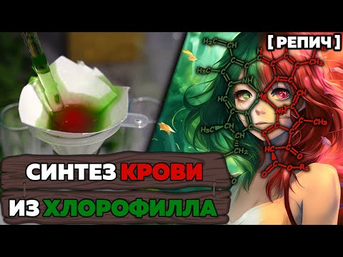 Видео: 🧪 Почему растения зеленые? | Связь ХИМИИ и ЦВЕТА | Хлорофилл | Химбио блог №13 [Репич]