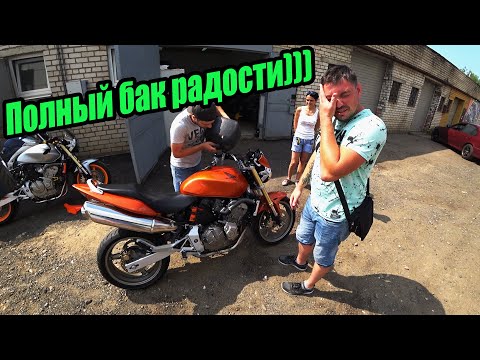 Видео: Мото Подбор#22. Suzuki GSX 650F по дешману| Honda CB600 Hornet который требует доработок. Motostrong