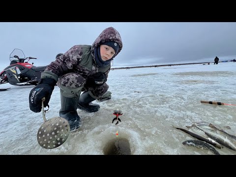 Видео: ✅ Рыбалка на навагу🎣🐟🐟 Луда 2025. Унская губа. #Рыболов_Севера #навага