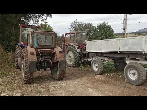 Видео: Трактор Т-40 и прицеп 2ПТС-4 за 1000у.е.