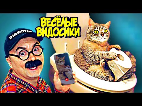 Видео: ВЕСЕЛЫЕ ВИДОСИКИ! 5 МИНУТ СМЕХА (ИЛИ НЕТ) 3 ВЫПУСК