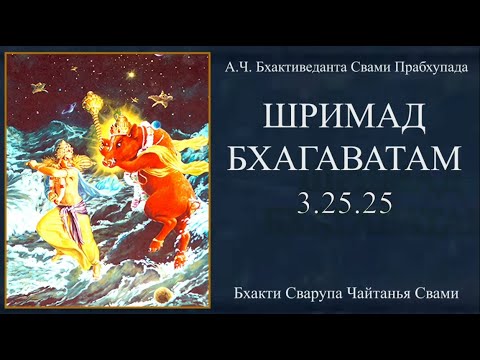 Видео: ШБ 3.25.25