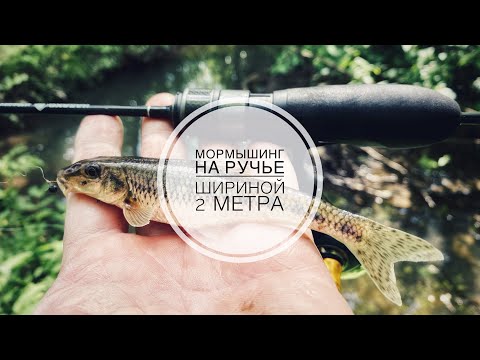 Видео: МОРМЫШИНГ | ГОРОДСКОЙ РУЧЕЙ