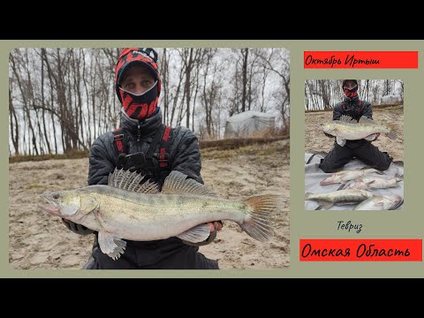 Видео: ЖОР СУДАКА НА ПЕСКАХ ОКТЯБРЬ ИРТЫШ "СЕВЕРНЫЙ РАЙОН"ПОДСАК В ХЛАМ(