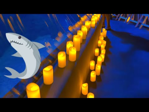 Видео: Первый концерт при свечах на Мауи. Концерт струнного квартета в честь Хэллоуина от Candle Light M...