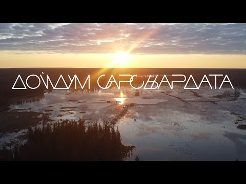 Видео: БАЙАНАЙ - ДОЙДУМ САРСЫАРДАТА | БАКАМДА