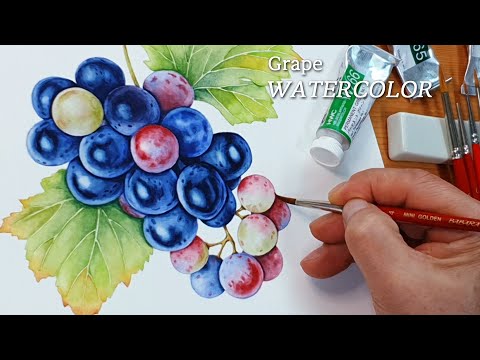 Видео: Виноград/Акварель