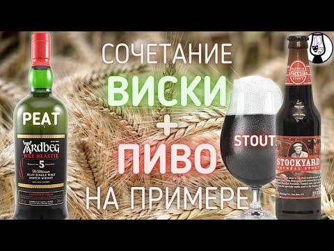 Видео: ВИСКИ + ПИВО = ТОРФЯНОЙ ПЕЙРИНГ | Ardbeg 5 Wee Beastie 47.4% + Oatmeal Stout 5.2% | Драм Кружок № 61