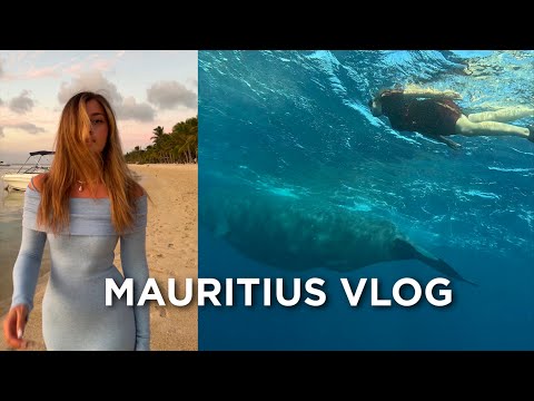 Видео: На краю света - мой безумный МАВРИКИЙ| Плавание с китами| Подводный водопад