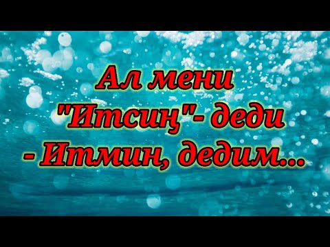 Видео: БАЙДЫЛДА САРНОГОЕВДИН КАЛЕМИНЕ ТААНДЫК ЖАН ЭРГИТКЕН ЧЫГАРМАЛАР