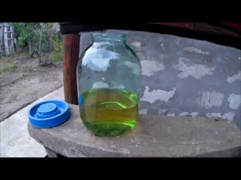 Видео: В этом году голуби этого уже не увидят. Даю голубям чудо чай от всех болезней. Один день в будке.