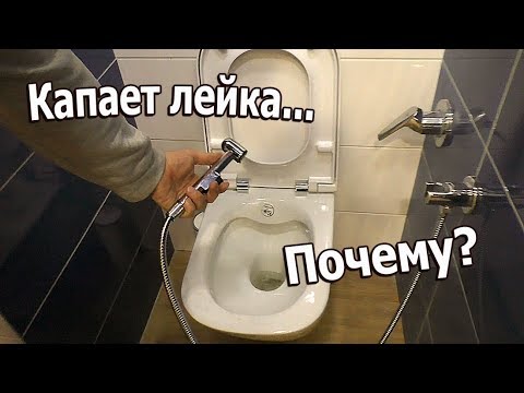 Видео: Почему течет лейка гигиенического душа? Обзор ремонта в новостройке