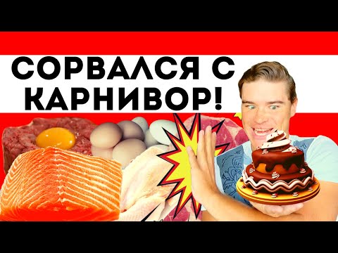 Видео: Я СОРВАЛСЯ с диеты Карнивор! Углеводное похмелье, Мозговой Туман,Углеводный запой.Психология питания
