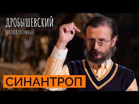 Видео: Как в Китае изучают общих предков // Дробышевский. Человек разумный
