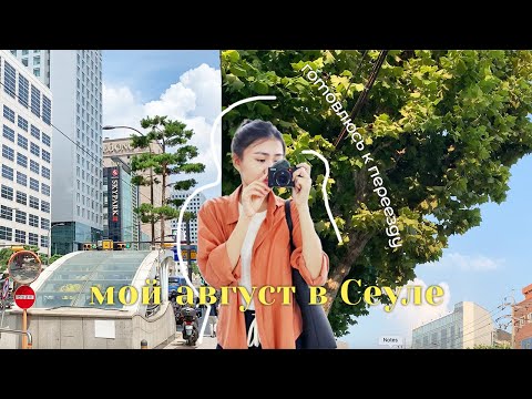 Видео: Мои занятые дни в Сеуле: поиск квартиры и подготовка к переезду :)