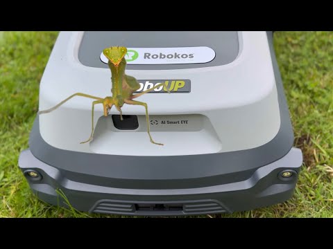 Видео: Беспроводная робот газонокосилка Robokos RoboUp Т600; T1200  с  системой навигации RTK, с камерой ИИ