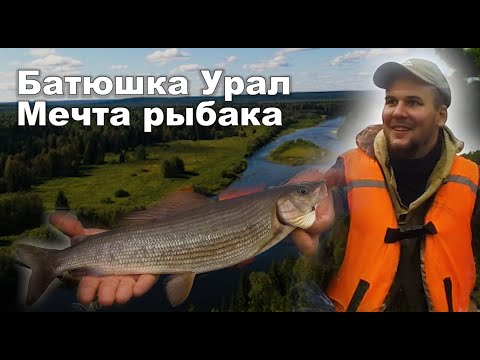 Видео: ХАРЮЗОВАЯ РЫБАЛКА НА СЕВЕРЕ В ТАЙГЕ. Рыболовное путешествие в республику Коми. Сплав по реке Унья.